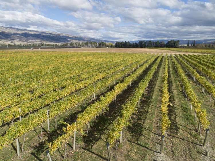 Ata Mara, 1427 Luggate-Cromwell Road and 67G Rush Lane Mount Pisa_14