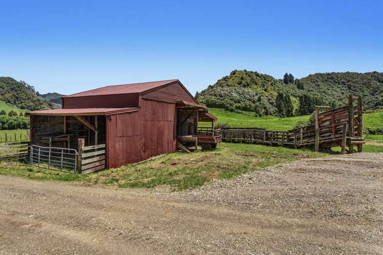 2060 Motu Road Opotiki_4