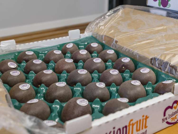 241 Rea Road Katikati_21