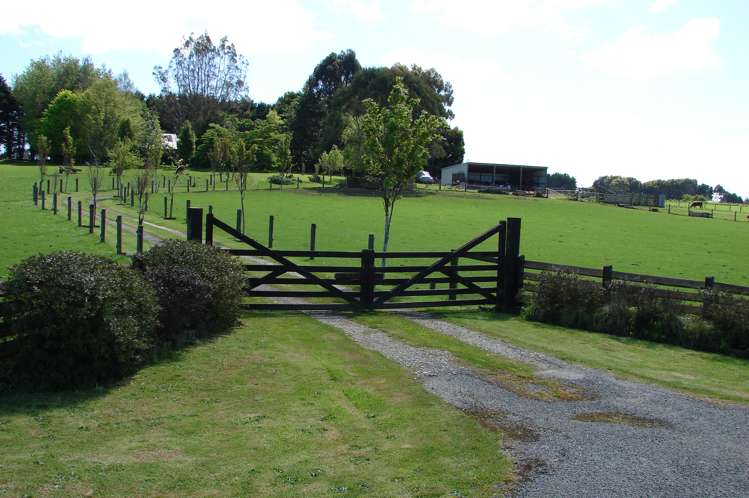 488 Woodlands Road Rimu_12