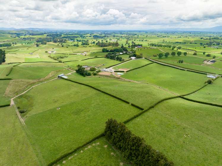 83 Waikuku Road Morrinsville_10