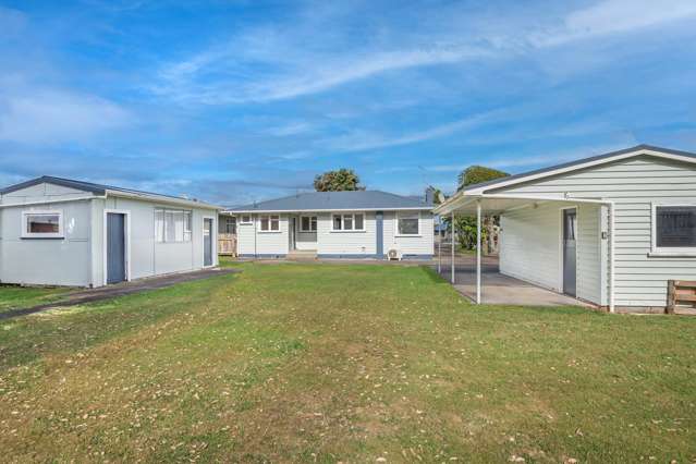 24 Carlisle Street Levin_1