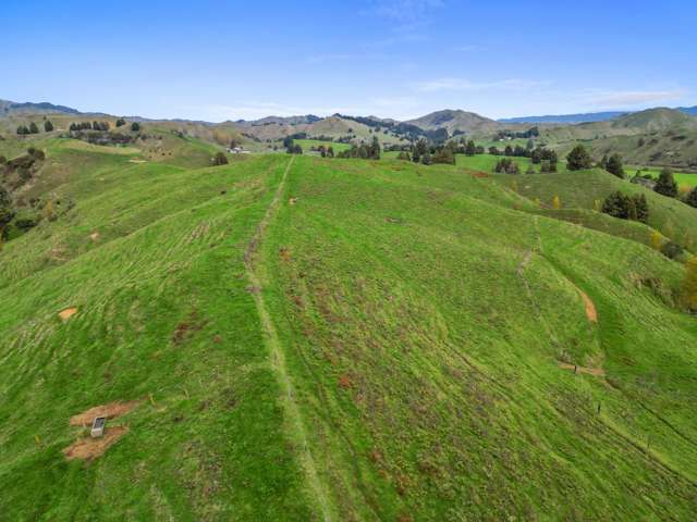 158 Ohura North Road Ohura_2