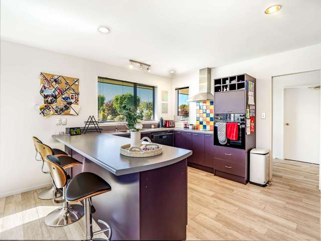 9 Millichamp Street Tinwald_2