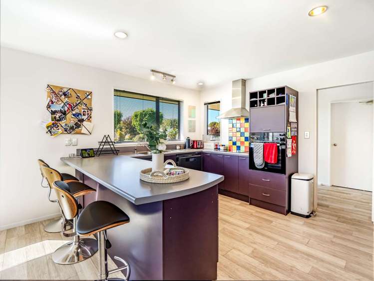 9 Millichamp Street Tinwald_2