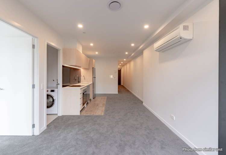 117/428 Dominion Road Mount Eden_9