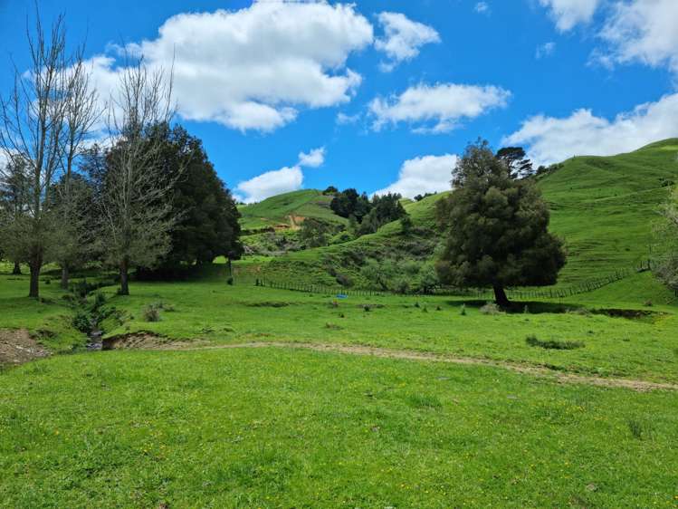 852 Mangawara Road Tahuna_8