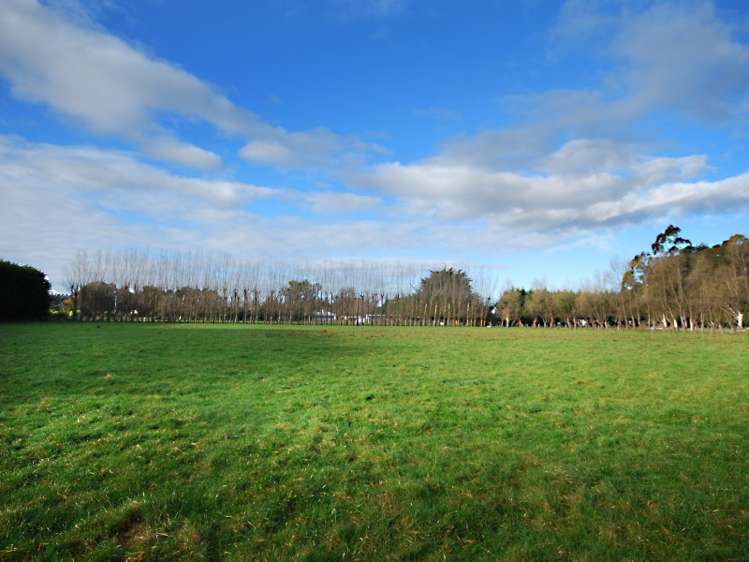 225 Upper Manaia Road Upper Plain_10