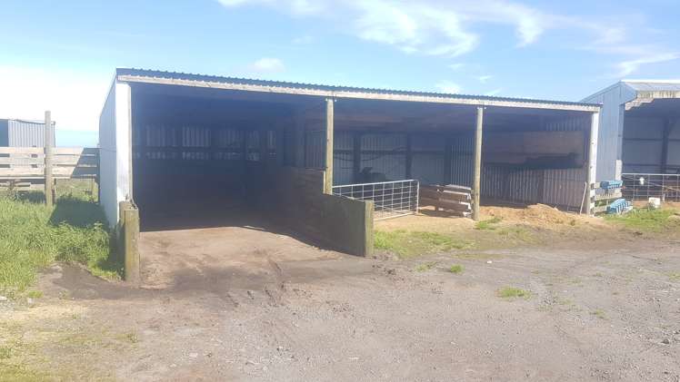 341 Puniho Road Newall_19