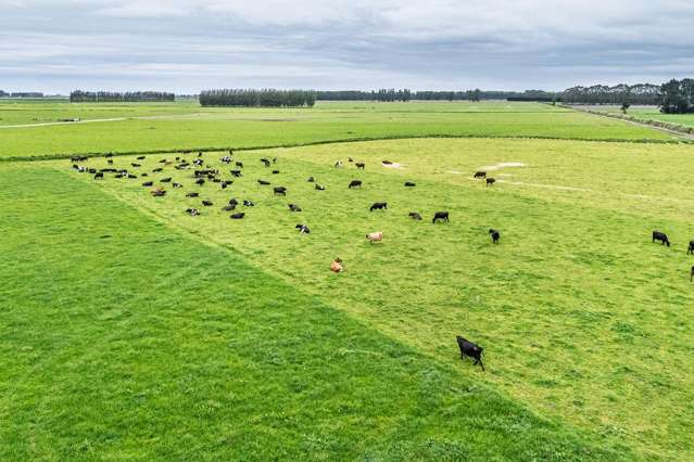 94 Brogdens Road Lowcliffe_1