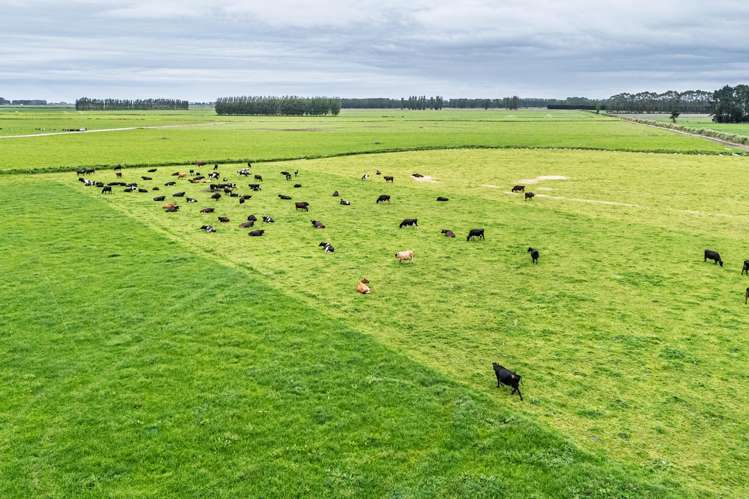 94 Brogdens Road Lowcliffe_1