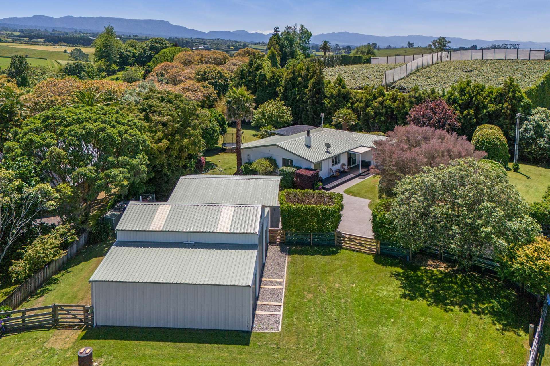 474 Youngson Road Whakamarama_0