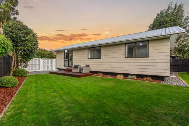 Bright, Modern and Tucked Away