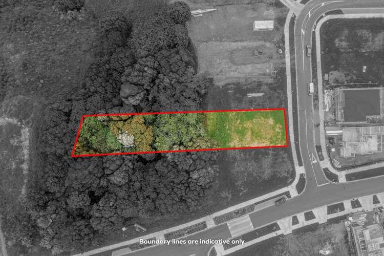 30 Southridge Road Flat Bush_5