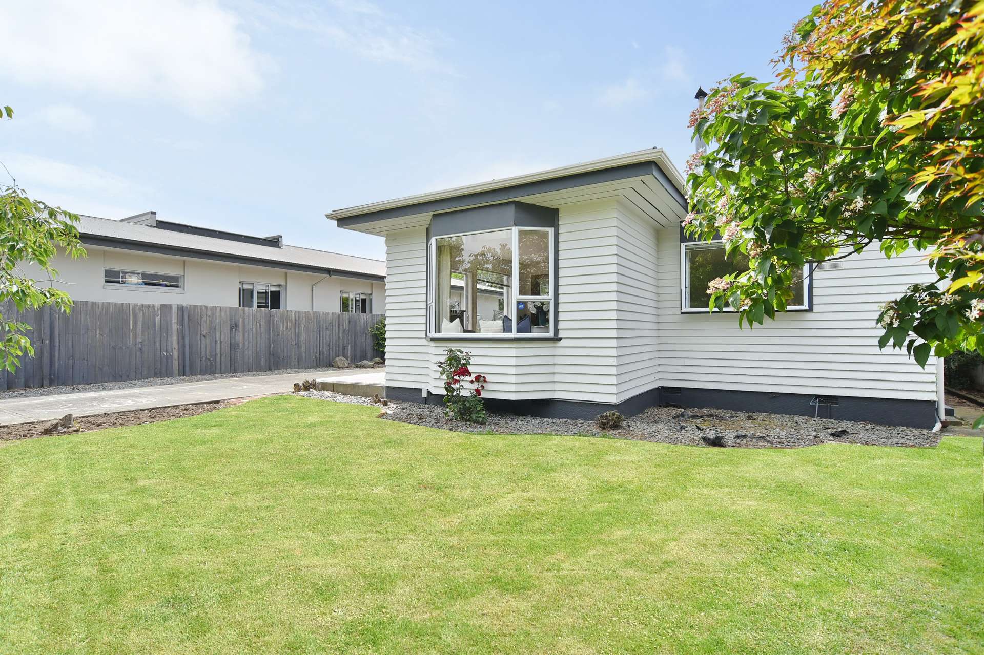 31 Meadow Street Papanui_0