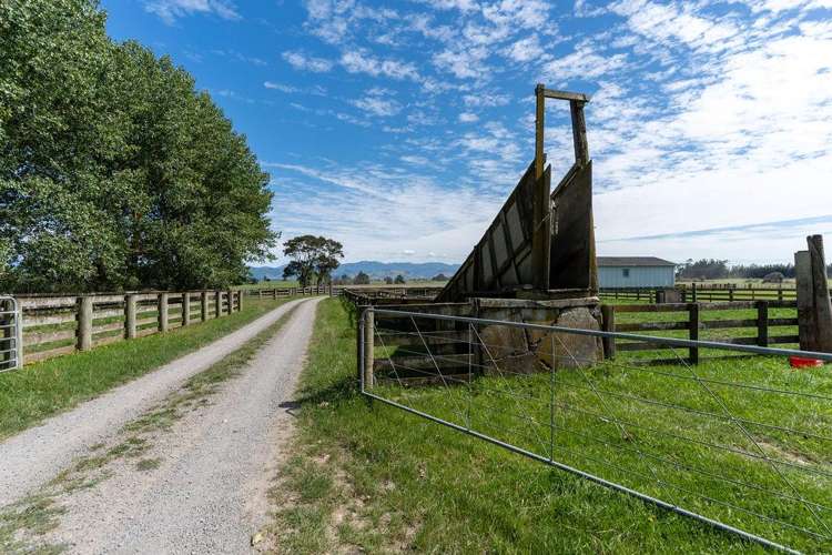 220 Tiffin Road Carterton_6