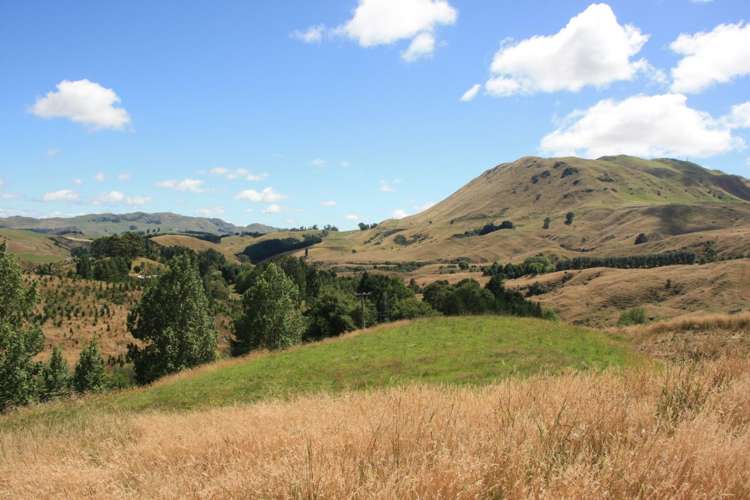 1601 Kahuranaki Road Havelock North_6