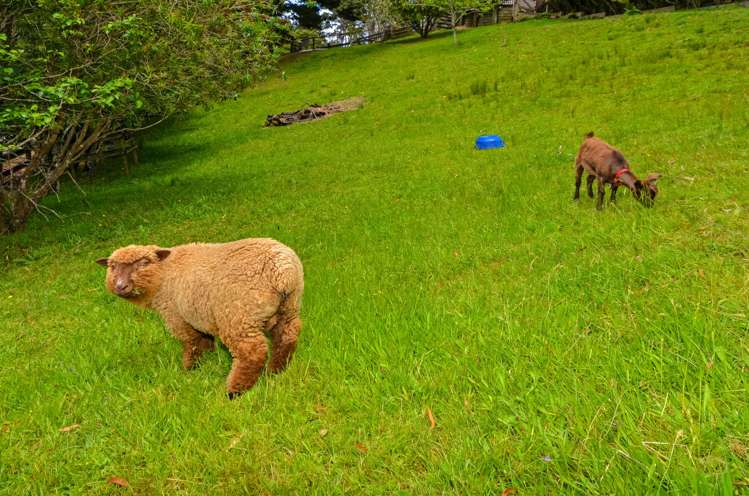 177 Ridge Road Lucas Heights_10