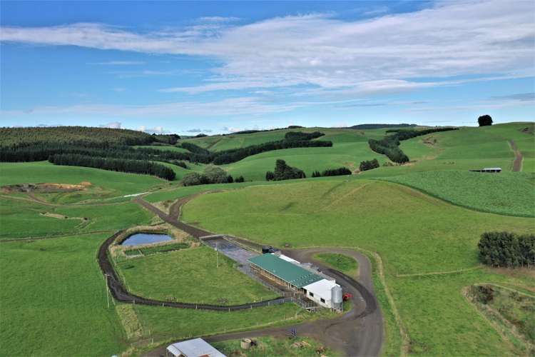 906 Waimahaka Fortification Road Fortification_7