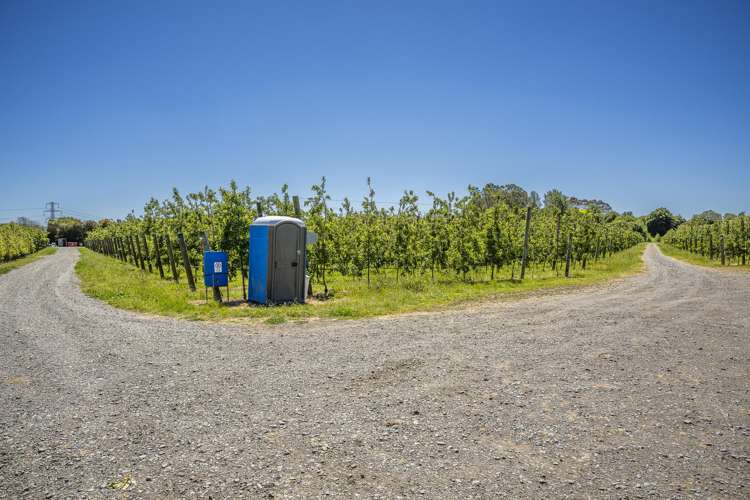 490 Puketitiri Road, Puketapu Napier South_13