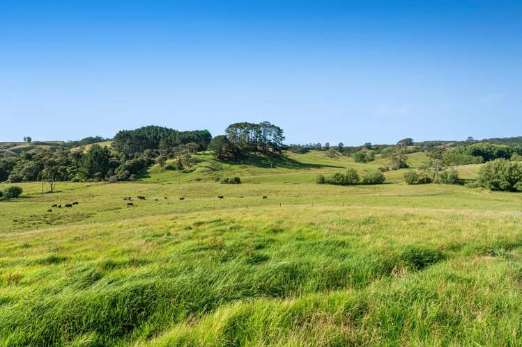 211 Stoney Creek Road Kaukapakapa_42