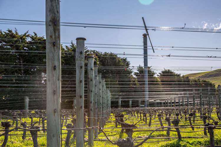 248 Te Muna Road Martinborough_9