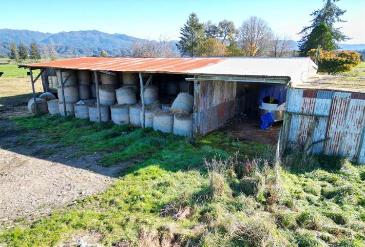 Gannons Road Reefton_3