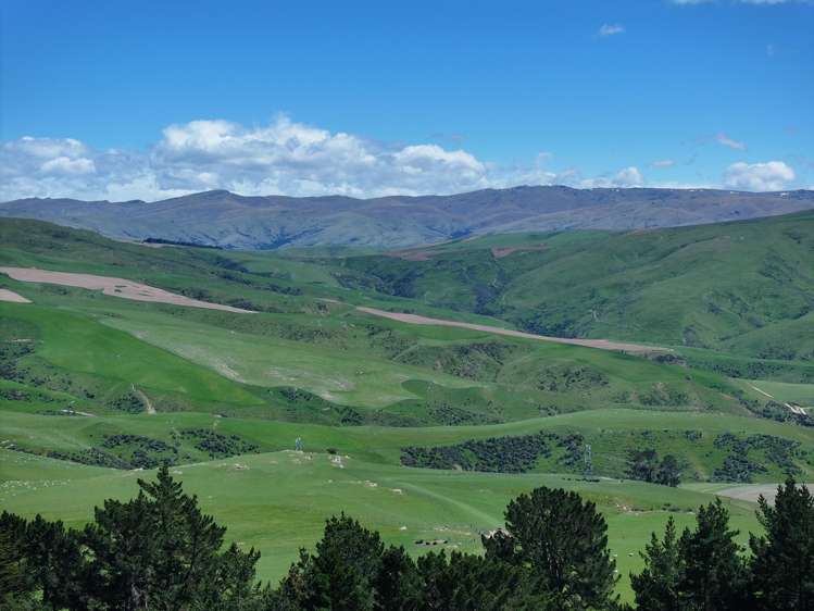 980 Moa Flat Road Moa Flat_18