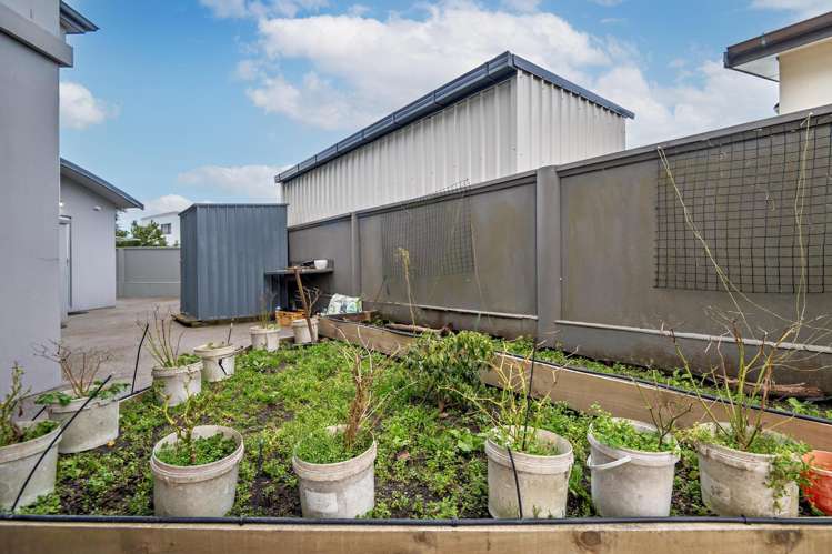 26 Anchorage Grove Coastlands_32