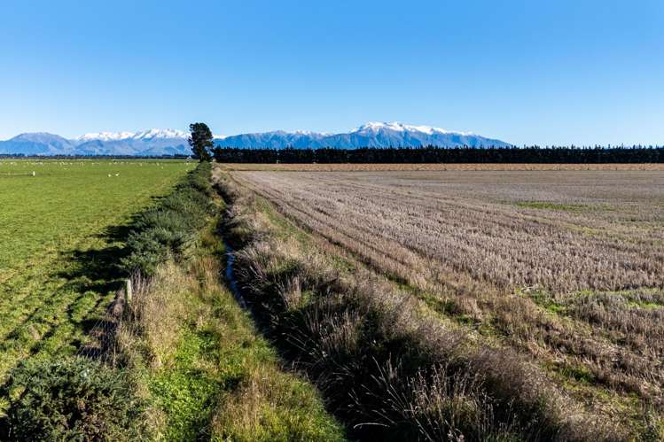 1234 Back Track Ashburton_11