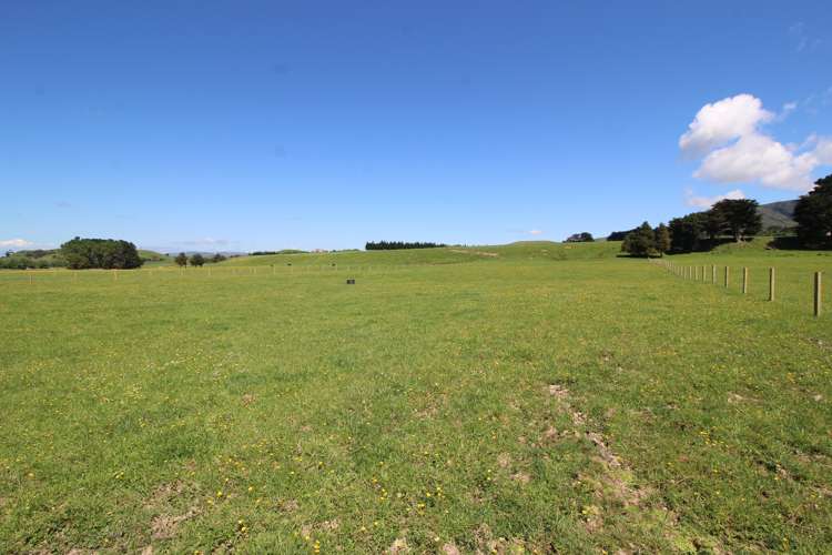 465 Pinfold Road Woodville_5