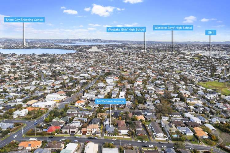 1/4 Richards Avenue Forrest Hill_16