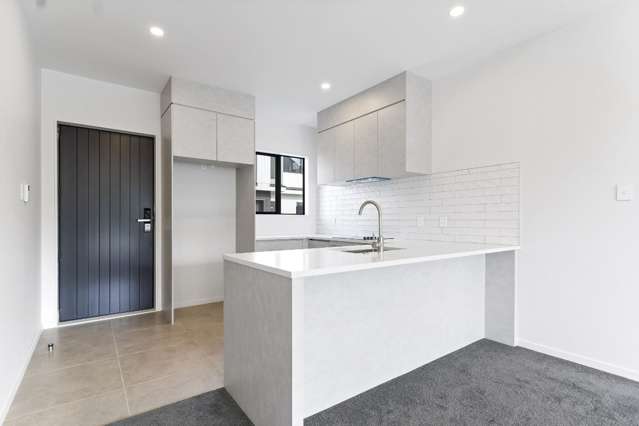 176c Princes Street Pukekohe_2