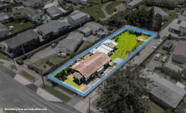 Build Big in Mangere East!