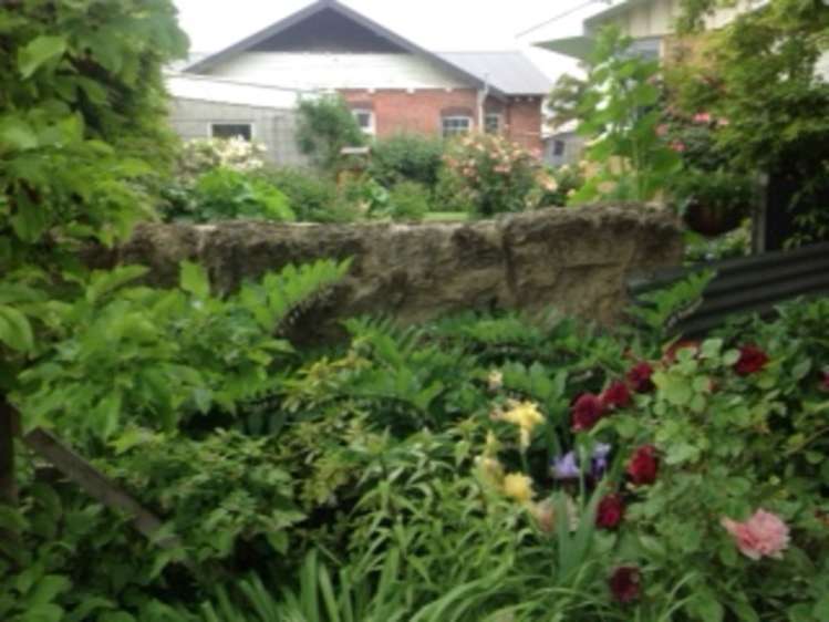 13 Shannon Street Alexandra_22