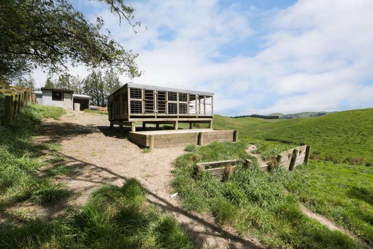 209 Pattison Road Waipukurau_26