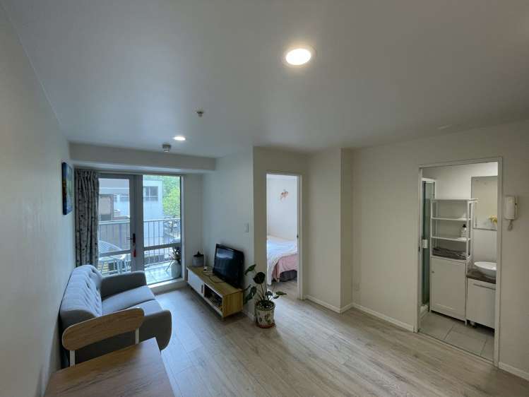 113 Vincent Street Howick_10