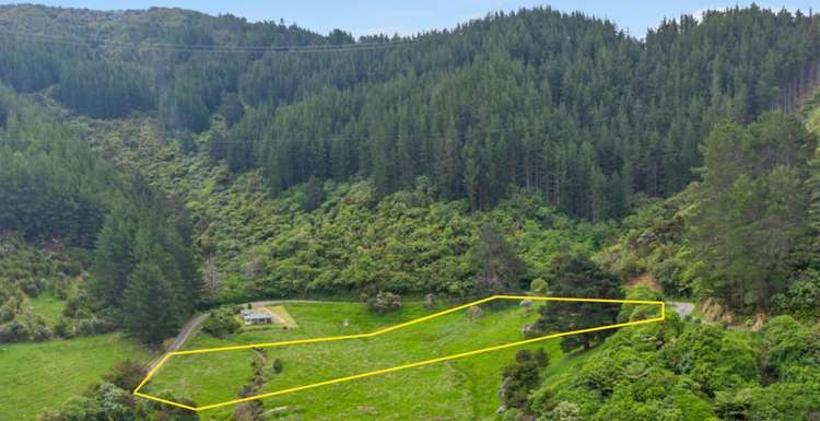 Kakapo Bay Port Underwood_3