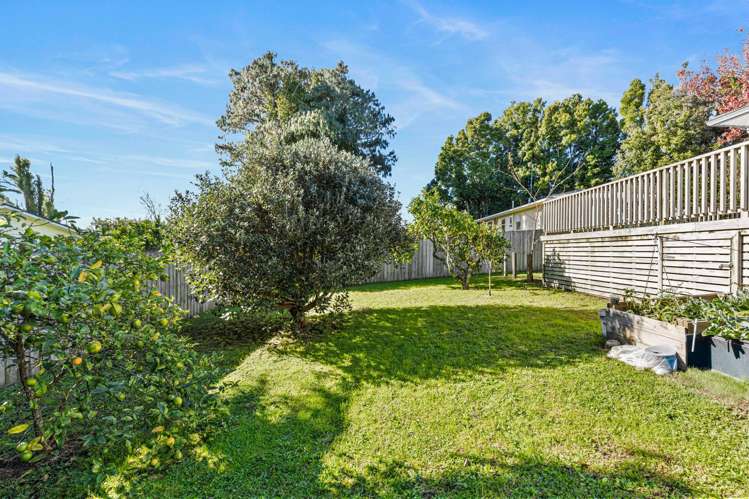 36 Mildmay Road Henderson_23