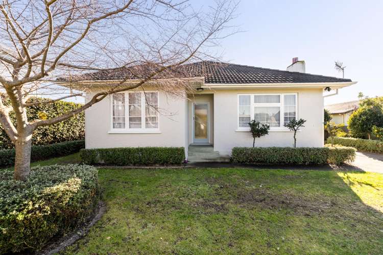 202 Park Road North Parkvale_16