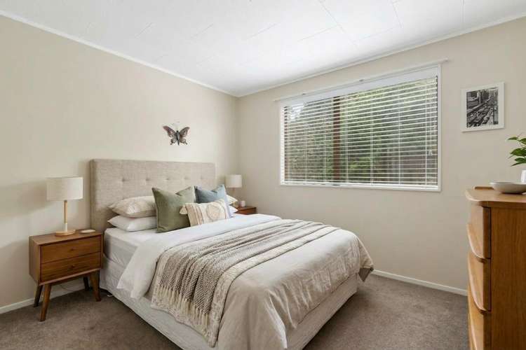 1/6 Wech Drive Warkworth_10