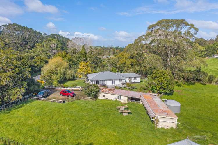 1102 Peak Road Waikoukou Valley_28