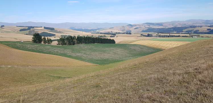 49 Robinson Road Pleasant Point_1