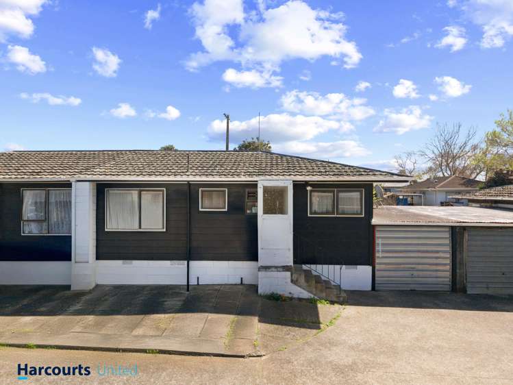 69c Princes Street Otahuhu_1