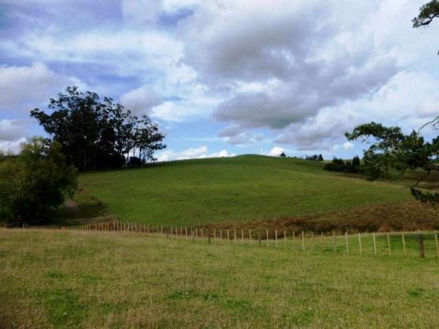 1577 Tangowahine Valley Road Dargaville Surrounds_4