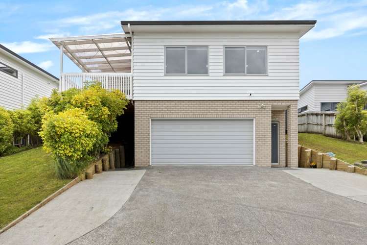 55 Leo Street Glen Eden_0