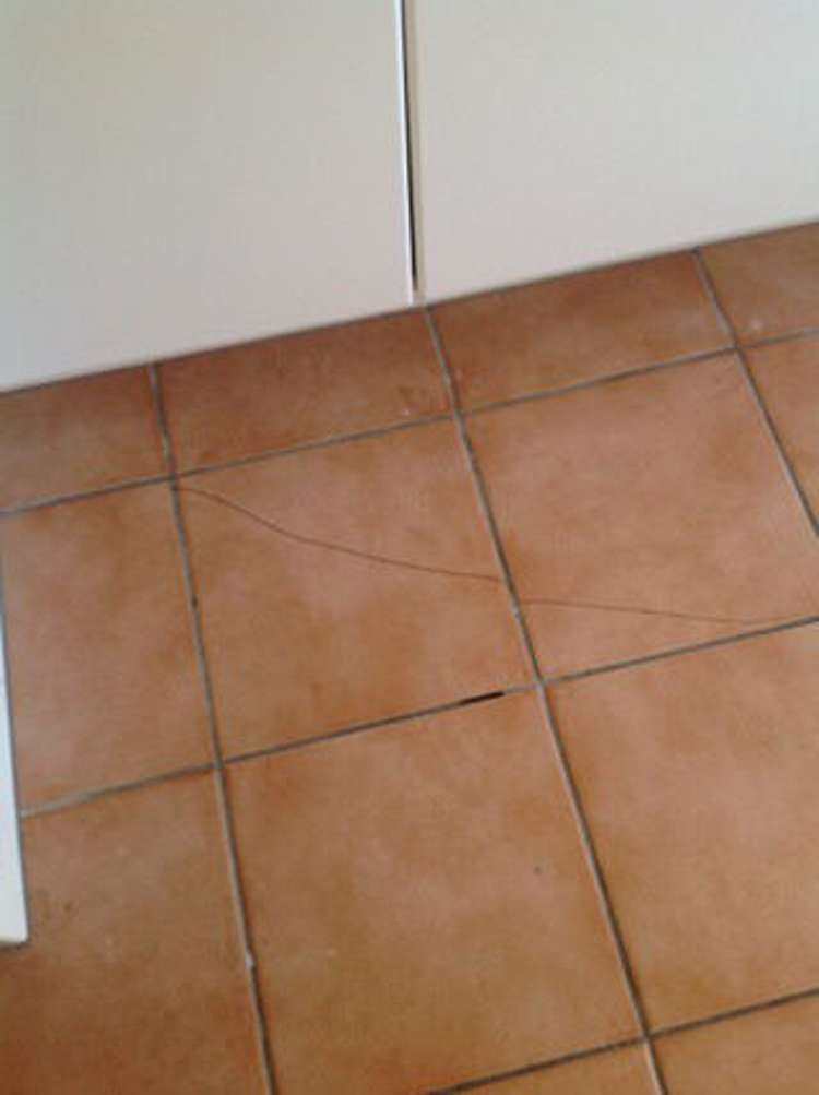 6 Bellona Place Flagstaff_8