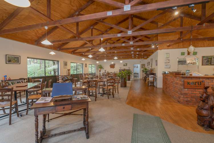 586 Tapu Coroglen Road Coromandel Forest Park_34