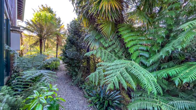 208 Mount View Road Thames_27