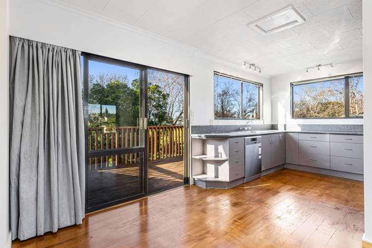 7 Rothwell Place Springlands_9